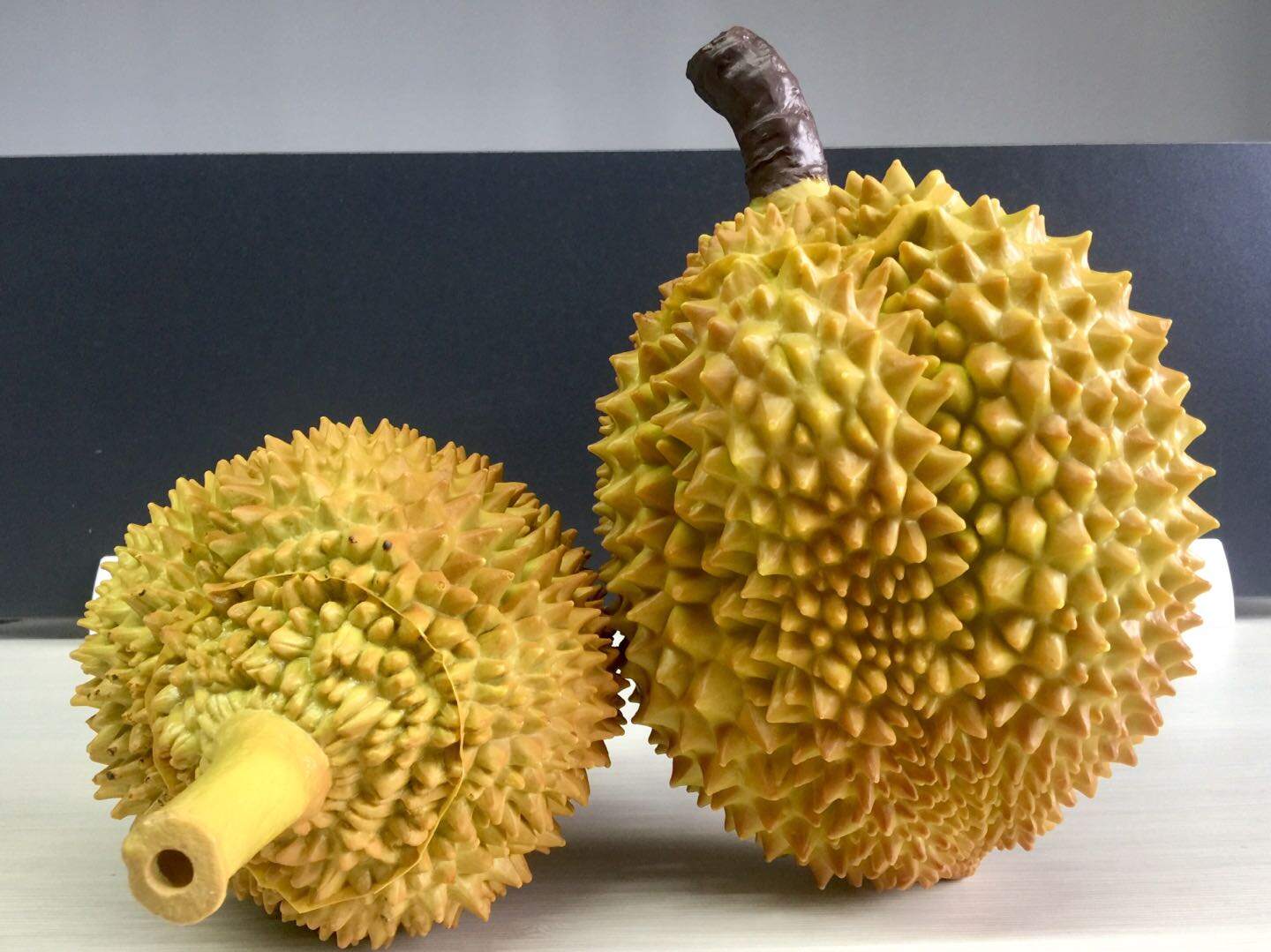 Details about   Artificial Fake Fruits Durian Hotel Restaurant Sample Kids Pretend Play Toy 