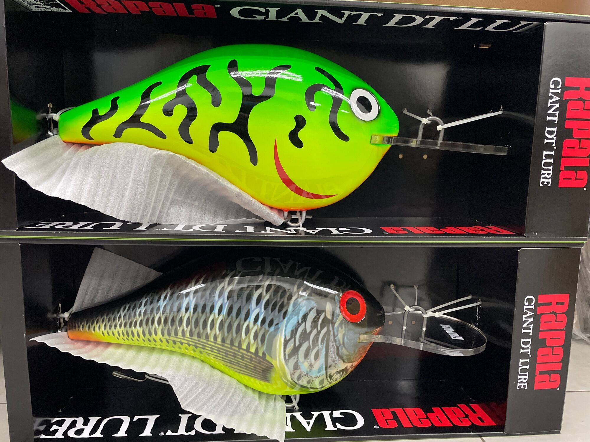 Rapala Giant DT Lure (For Display Only Not For Fishing Use)