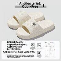 FZT | Summer Indoor & Outdoor Anti-slip Soft Bottom Carton Kids Slippers