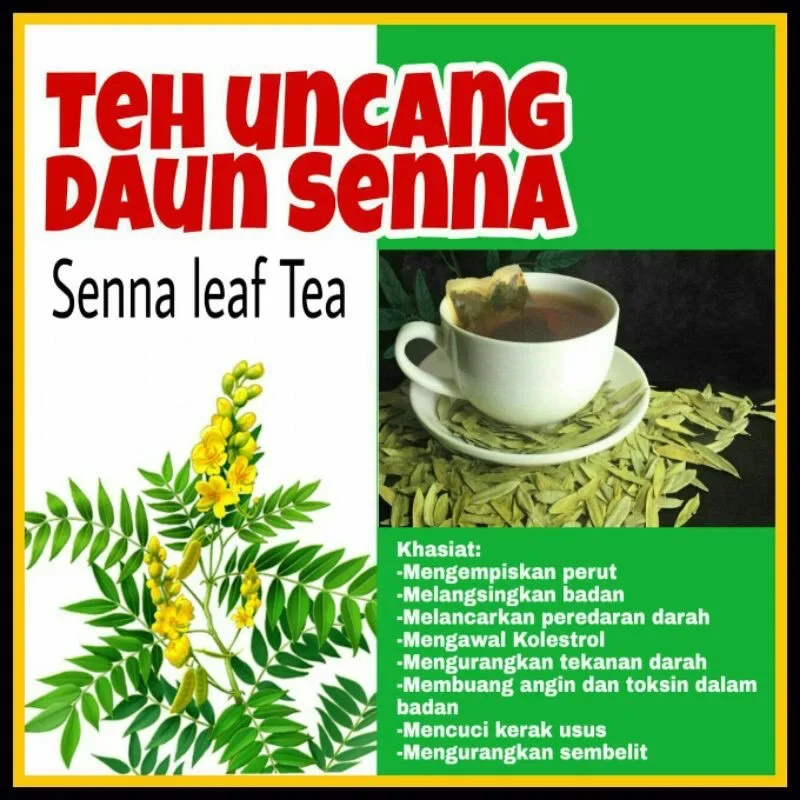 Slimming tea 100 % Daun senna/Senna Tea leaf/ Daun sena uncang