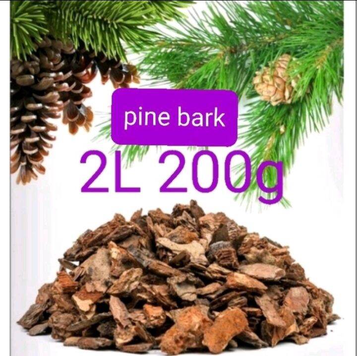 exotic reptile bedding terrarium coconut soil cocopeat husk hermit crab