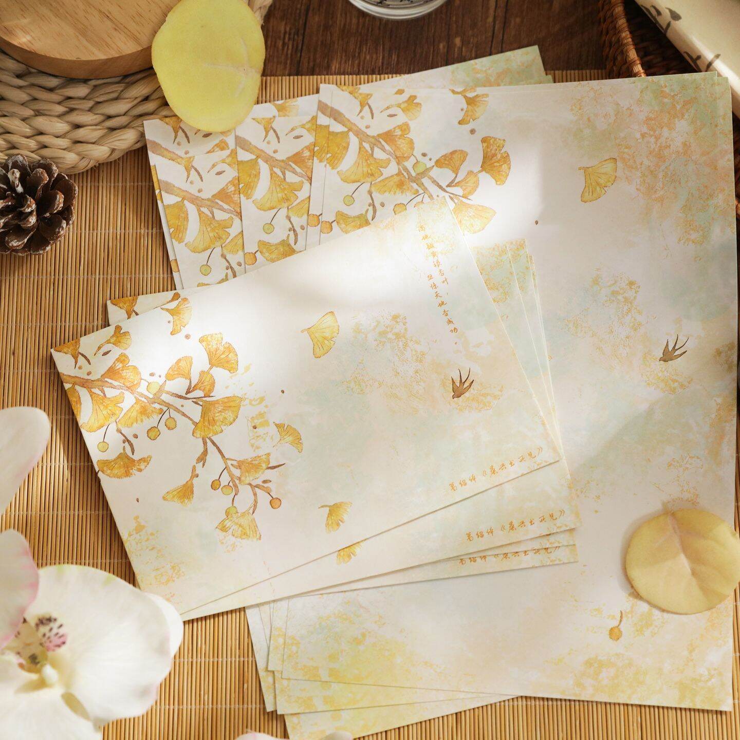 Buy 大容量纸币收藏册钱币收纳活页人民币收集册纸钞纪念币硬币保护袋Online at a Better Price | Lazada Malaysia