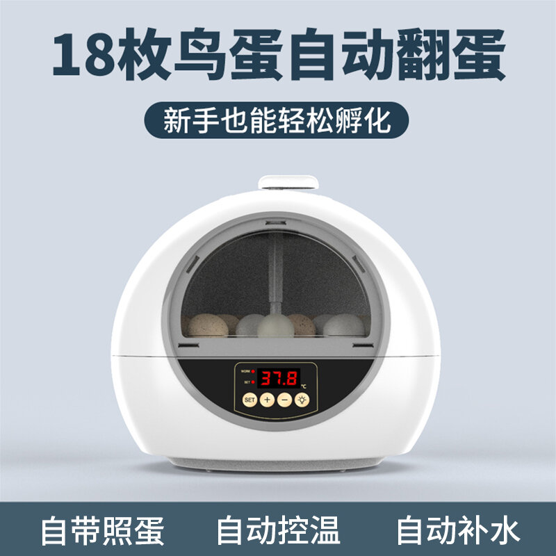 Incubator Small Rutin Chicken Water Bed Incubator Small Household